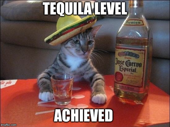 Tequila Cat | TEQUILA LEVEL ACHIEVED | image tagged in tequila cat | made w/ Imgflip meme maker