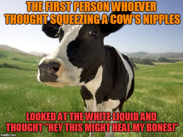 History Cow Facts |  THE FIRST PERSON WHOEVER THOUGHT SQUEEZING A COW'S NIPPLES; LOOKED AT THE WHITE LIQUID AND THOUGHT "HEY THIS MIGHT HEAL MY BONES!" | image tagged in cow,white liquid,milk | made w/ Imgflip meme maker