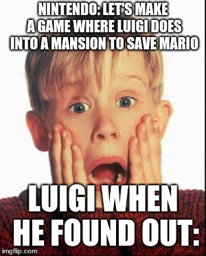 how luigi's mansion came to be | NINTENDO: LET'S MAKE A GAME WHERE LUIGI DOES INTO A MANSION TO SAVE MARIO; LUIGI WHEN HE FOUND OUT: | image tagged in home alone kid | made w/ Imgflip meme maker