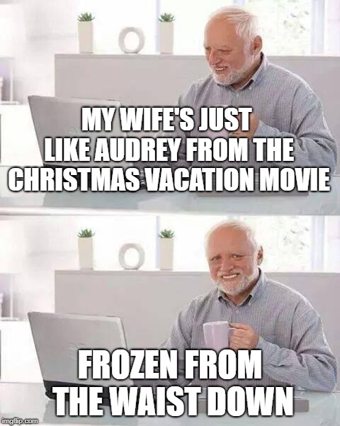 Christmas Vacation Week (Dec 2nd to Dec 8th) A Thparky event! | MY WIFE'S JUST LIKE AUDREY FROM THE CHRISTMAS VACATION MOVIE; FROZEN FROM THE WAIST DOWN | image tagged in memes,hide the pain harold,christmas vacation | made w/ Imgflip meme maker