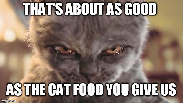 Evil Cat | THAT'S ABOUT AS GOOD AS THE CAT FOOD YOU GIVE US | image tagged in evil cat | made w/ Imgflip meme maker