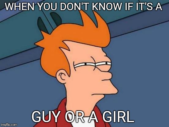 Futurama Fry Meme | WHEN YOU DON'T KNOW IF IT'S A; GUY OR A GIRL | image tagged in memes,futurama fry | made w/ Imgflip meme maker