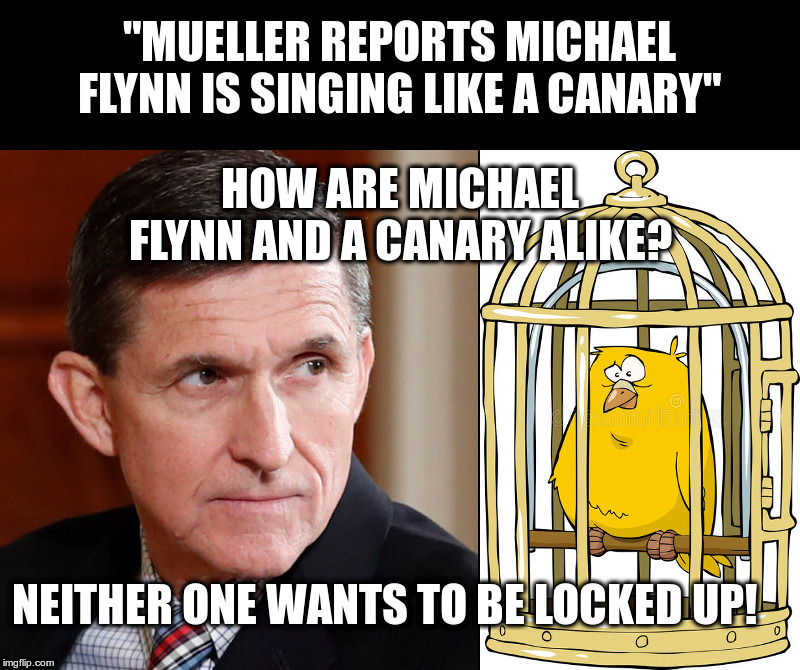 What Would You Do? | image tagged in michael flynn,donald trump,robert mueller,threatening witnesses,witch hunt | made w/ Imgflip meme maker