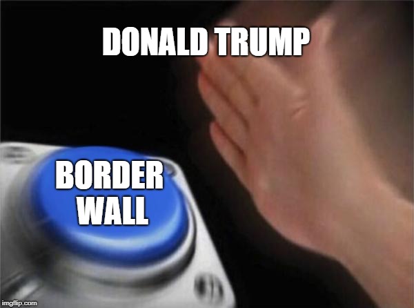 Blank Nut Button | DONALD TRUMP; BORDER WALL | image tagged in memes,blank nut button | made w/ Imgflip meme maker