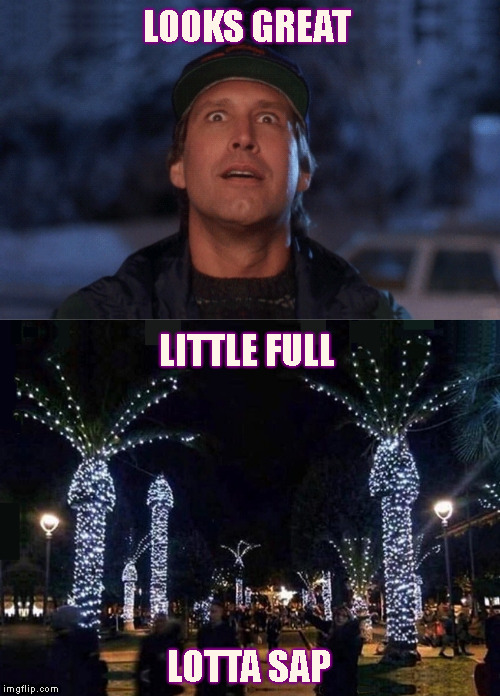 Don't be a Dick on Christmas | LOOKS GREAT; LITTLE FULL; LOTTA SAP | image tagged in memes,christmas vacation week,clark griswold,chevy chase,national lampoon,christmas vacation | made w/ Imgflip meme maker