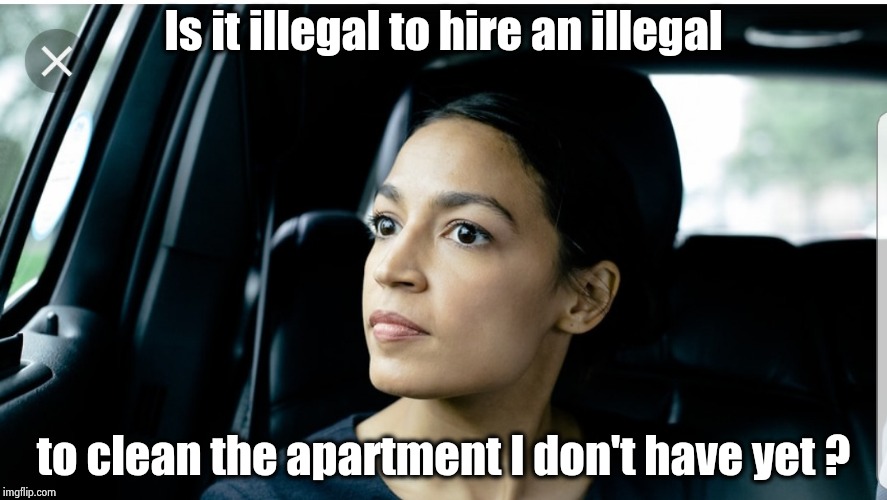 Alexandria Deep Thoughts | Is it illegal to hire an illegal to clean the apartment I don't have yet ? | image tagged in alexandria deep thoughts | made w/ Imgflip meme maker