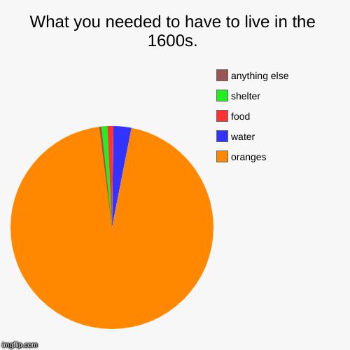 What you needed to have to live in the 1600s. | oranges, water, food , shelter, anything else | image tagged in funny,pie charts | made w/ Imgflip chart maker