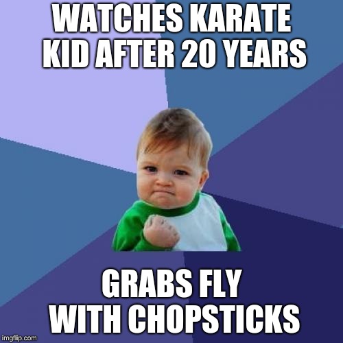 Success Kid Meme | WATCHES KARATE KID AFTER 20 YEARS; GRABS FLY WITH CHOPSTICKS | image tagged in memes,success kid | made w/ Imgflip meme maker