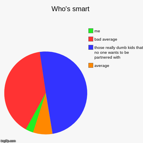 Who's smart | average, those really dumb kids that no one wants to be partnered with, bad average, me | image tagged in funny,pie charts | made w/ Imgflip chart maker