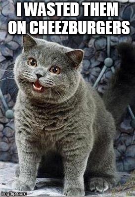 I can has cheezburger cat | I WASTED THEM ON CHEEZBURGERS | image tagged in i can has cheezburger cat | made w/ Imgflip meme maker