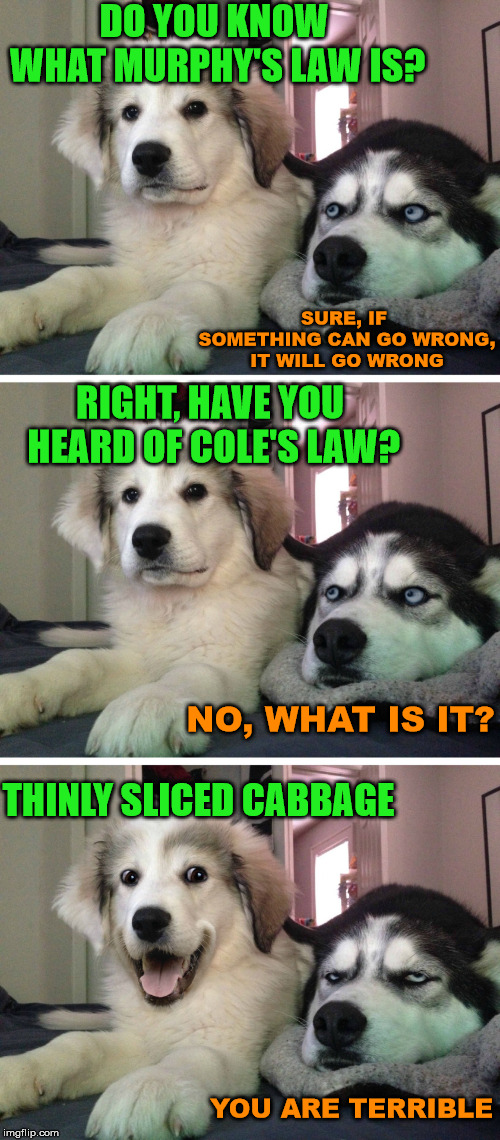 This is a dad joke. | DO YOU KNOW WHAT MURPHY'S LAW IS? SURE, IF SOMETHING CAN GO WRONG, IT WILL GO WRONG; RIGHT, HAVE YOU HEARD OF COLE'S LAW? NO, WHAT IS IT? THINLY SLICED CABBAGE; YOU ARE TERRIBLE | image tagged in bad pun dogs,dad joke dog,funny,play on words,bad joke dog,murphy's law | made w/ Imgflip meme maker