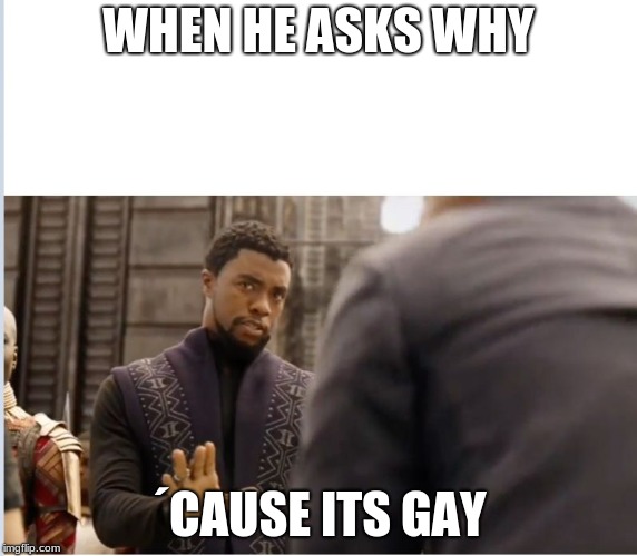 We don't do that here | WHEN HE ASKS WHY ´CAUSE ITS GAY | image tagged in we don't do that here | made w/ Imgflip meme maker
