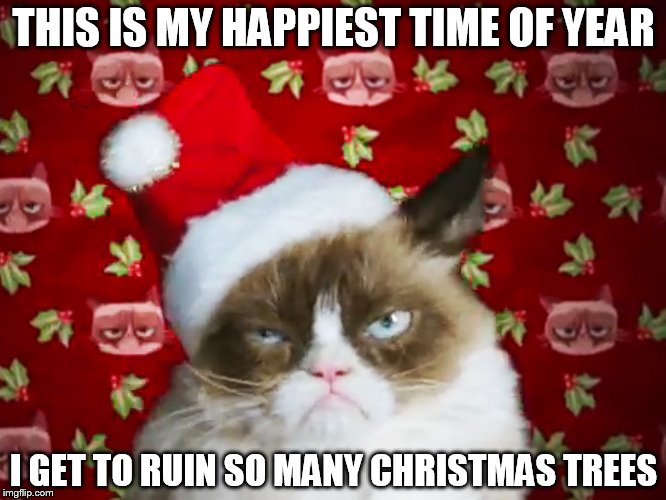 Image tagged in grumpy cat christmas - Imgflip