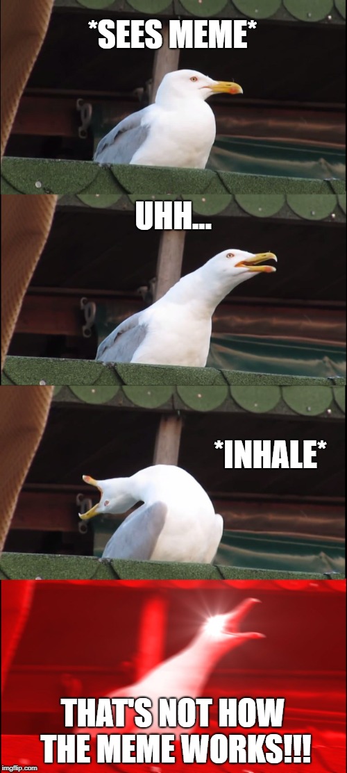 Inhaling Seagull Meme | *SEES MEME* UHH... *INHALE* THAT'S NOT HOW THE MEME WORKS!!! | image tagged in memes,inhaling seagull | made w/ Imgflip meme maker