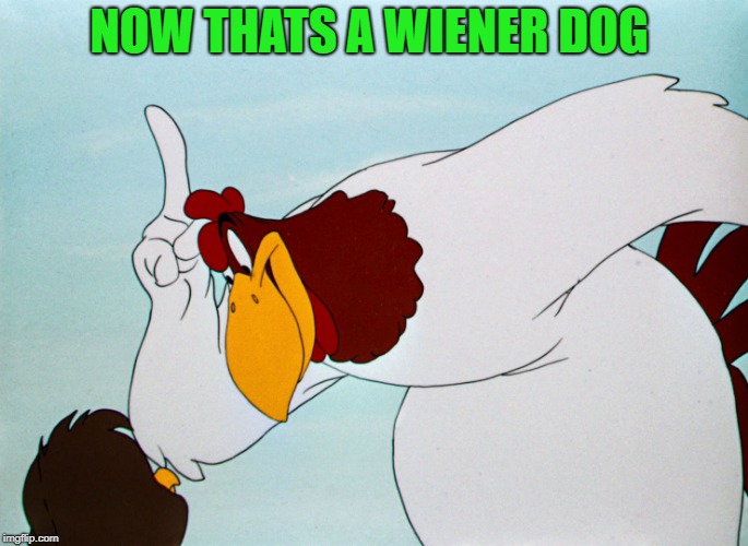 fog horn | NOW THATS A WIENER DOG | image tagged in fog horn | made w/ Imgflip meme maker