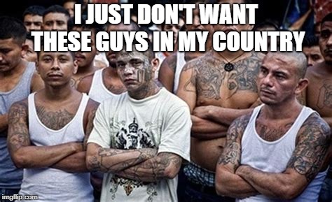 MS13 Family Pic | I JUST DON'T WANT THESE GUYS IN MY COUNTRY | image tagged in ms13 family pic | made w/ Imgflip meme maker