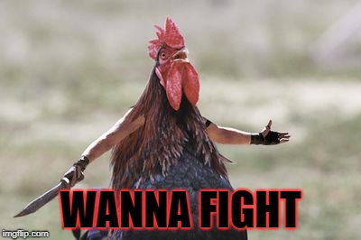 chiken | WANNA FIGHT | image tagged in chiken | made w/ Imgflip meme maker