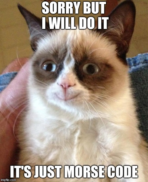Grumpy Cat Happy Meme | SORRY BUT I WILL DO IT IT'S JUST MORSE CODE | image tagged in memes,grumpy cat happy,grumpy cat | made w/ Imgflip meme maker