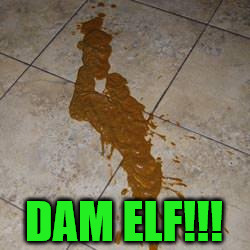 diarrhea | DAM ELF!!! | image tagged in diarrhea | made w/ Imgflip meme maker