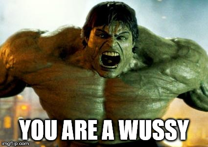 hulk | YOU ARE A WUSSY | image tagged in hulk | made w/ Imgflip meme maker