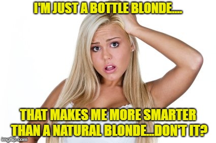 Blondes Have More Fun...Or Is It We Just Have More Fun With Blondes? | I'M JUST A BOTTLE BLONDE.... THAT MAKES ME MORE SMARTER THAN A NATURAL BLONDE...DON'T IT? | image tagged in dumb blonde,bottle blonde,natural blonde,memes | made w/ Imgflip meme maker