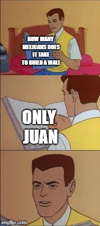 Peter parker reading a book  | HOW MANY MEXICANS DOES IT TAKE TO BUILD A WALL; ONLY JUAN | image tagged in peter parker reading a book | made w/ Imgflip meme maker
