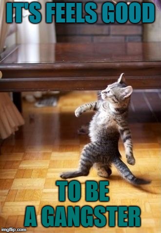 Cool Cat Stroll Meme | IT'S FEELS GOOD; TO BE A GANGSTER | image tagged in memes,cool cat stroll | made w/ Imgflip meme maker