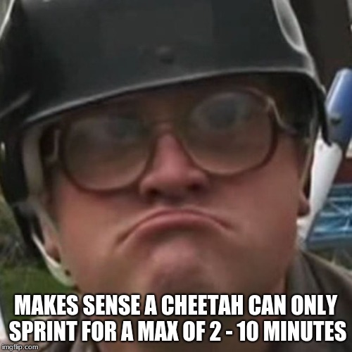 Makes Sense | MAKES SENSE A CHEETAH CAN ONLY SPRINT FOR A MAX OF 2 - 10 MINUTES | image tagged in makes sense | made w/ Imgflip meme maker