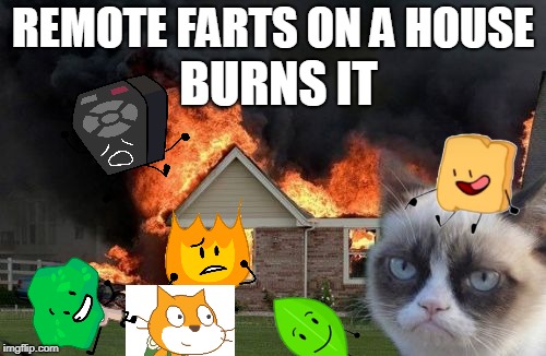 Burn Kitty Meme | REMOTE FARTS ON A HOUSE; BURNS IT | image tagged in memes,burn kitty,grumpy cat | made w/ Imgflip meme maker