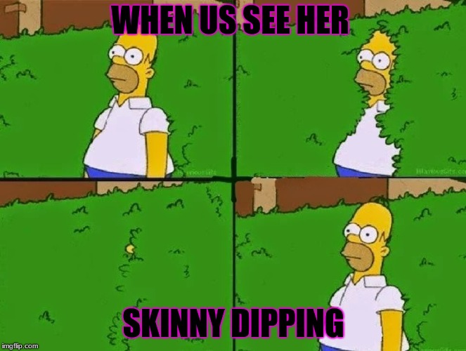 HOMER BUSH | WHEN US SEE HER; SKINNY DIPPING | image tagged in homer bush | made w/ Imgflip meme maker