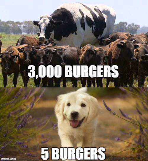 3,000 BURGERS; 5 BURGERS | image tagged in memes | made w/ Imgflip meme maker