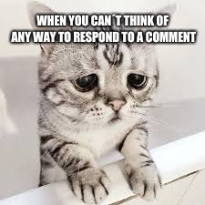 WHEN YOU CAN´T THINK OF ANY WAY TO RESPOND TO A COMMENT | made w/ Imgflip meme maker