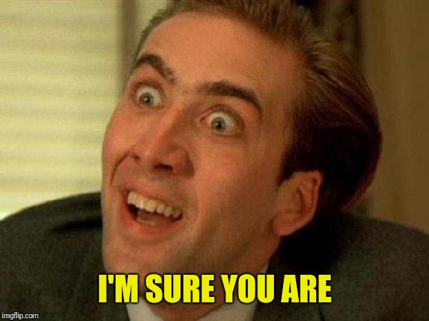 Nicolas cage | I'M SURE YOU ARE | image tagged in nicolas cage | made w/ Imgflip meme maker