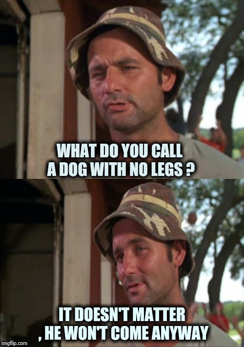 Bill Murray bad joke | WHAT DO YOU CALL A DOG WITH NO LEGS ? IT DOESN'T MATTER , HE WON'T COME ANYWAY | image tagged in bill murray bad joke | made w/ Imgflip meme maker