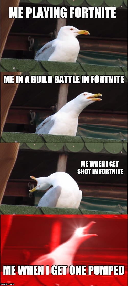 Inhaling Seagull | ME PLAYING FORTNITE; ME IN A BUILD BATTLE IN FORTNITE; ME WHEN I GET SHOT IN FORTNITE; ME WHEN I GET ONE PUMPED | image tagged in memes,inhaling seagull | made w/ Imgflip meme maker