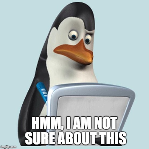 penguin kowalski | HMM, I AM NOT SURE ABOUT THIS | image tagged in penguin kowalski | made w/ Imgflip meme maker