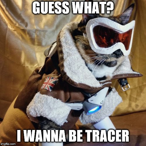 Overwatch Cat | GUESS WHAT? I WANNA BE TRACER | image tagged in overwatch cat | made w/ Imgflip meme maker