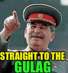 Stalin says | STRAIGHT TO THE GULAG | image tagged in stalin says | made w/ Imgflip meme maker