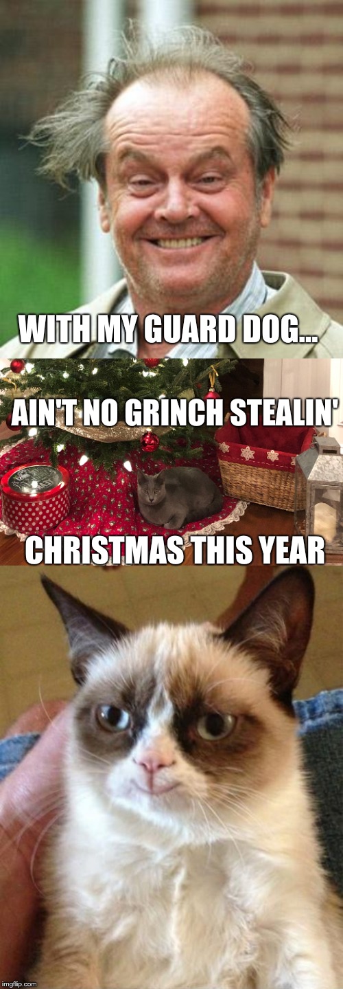 WITH MY GUARD DOG... AIN'T NO GRINCH STEALIN'; CHRISTMAS THIS YEAR | image tagged in jack nicholson crazy hair,smiling grumpy cat | made w/ Imgflip meme maker