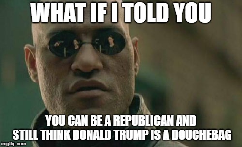 Matrix Morpheus Meme | WHAT IF I TOLD YOU; YOU CAN BE A REPUBLICAN AND STILL THINK DONALD TRUMP IS A DOUCHEBAG | image tagged in memes,matrix morpheus,AdviceAnimals | made w/ Imgflip meme maker