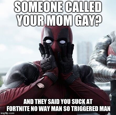 Deadpool Surprised Meme | SOMEONE CALLED YOUR MOM GAY? AND THEY SAID YOU SUCK AT FORTNITE NO WAY MAN SO TRIGGERED MAN | image tagged in memes,deadpool surprised | made w/ Imgflip meme maker