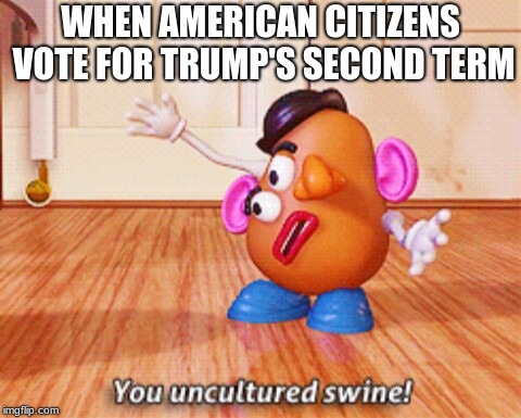  WHEN AMERICAN CITIZENS VOTE FOR TRUMP'S SECOND TERM | image tagged in you uncultured swine | made w/ Imgflip meme maker