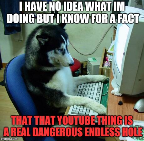 I Have No Idea What I Am Doing | I HAVE NO IDEA WHAT IM DOING BUT I KNOW FOR A FACT; THAT THAT YOUTUBE THING IS A REAL DANGEROUS ENDLESS HOLE | image tagged in memes,i have no idea what i am doing | made w/ Imgflip meme maker