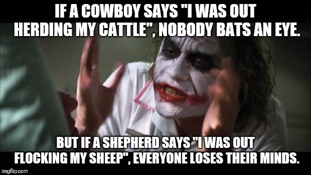 And everybody loses their minds Meme | IF A COWBOY SAYS "I WAS OUT HERDING MY CATTLE", NOBODY BATS AN EYE. BUT IF A SHEPHERD SAYS "I WAS OUT FLOCKING MY SHEEP", EVERYONE LOSES THEIR MINDS. | image tagged in memes,and everybody loses their minds | made w/ Imgflip meme maker