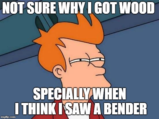 Futurama Fry Meme | NOT SURE WHY I GOT WOOD; SPECIALLY WHEN I THINK I SAW A BENDER | image tagged in memes,futurama fry | made w/ Imgflip meme maker