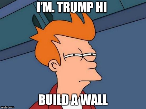 Futurama Fry Meme | I’M. TRUMP HI; BUILD A WALL | image tagged in memes,futurama fry | made w/ Imgflip meme maker