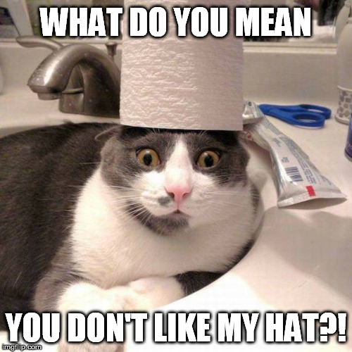 My chef hat. Do you like it? | WHAT DO YOU MEAN; YOU DON'T LIKE MY HAT?! | image tagged in cat memes,hat,funny cat | made w/ Imgflip meme maker