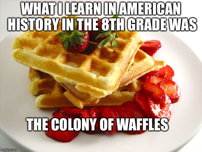 History lesson | WHAT I LEARN IN AMERICAN HISTORY IN THE 8TH GRADE WAS; THE COLONY OF WAFFLES | image tagged in funny | made w/ Imgflip meme maker