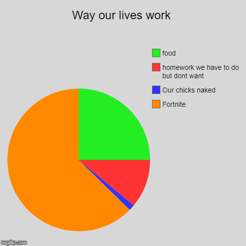 Way our lives work | Fortnite, Our chicks naked , homework we have to do but dont want, food | image tagged in funny,pie charts | made w/ Imgflip chart maker