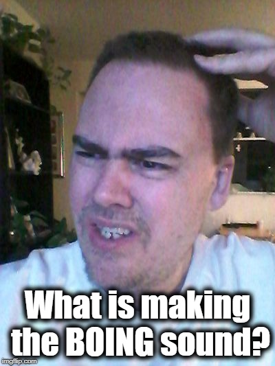 indecisive | What is making the BOING sound? | image tagged in indecisive | made w/ Imgflip meme maker